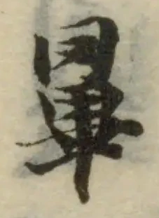Đã định vị 罼
