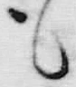 字も