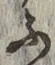 글자 ふ