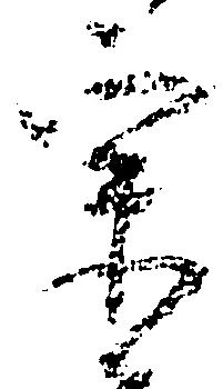 位置定マレル宗