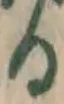 文字 る