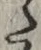 Character た