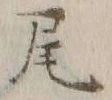글자 尾