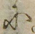 𛂋，已得其位