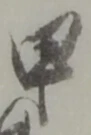 甲 위치 확인됨