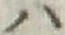 字ハ