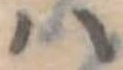 𛂞の位置