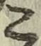 文字こ