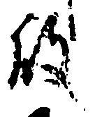 㐌定位殿