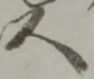 以 위치 확인됨