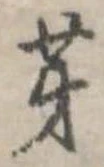 芽 위치 확인됨