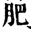 글자 肥
