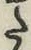 字た