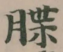 䐑 위치 확인됨
