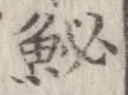 鮅 위치 확인됨