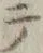 「テ」字