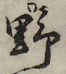 已定位野
