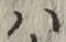 “は”字