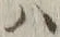 “ハ”字