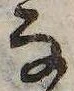 𛂂の位置