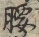 腰 위치 확인됨