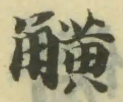 觵の位置