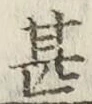 글자 甚
