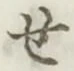 글자 せ