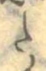 𛁠 위치 확인됨