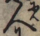 位置 確認된 人