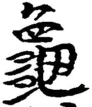 已定位亀