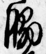 Đã định vị 脇