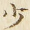 글자 少