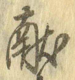 位置 確認된 未指定