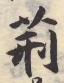 荆 위치 확인됨