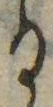 位置 確認된 𛃻