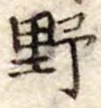野 위치 확인됨