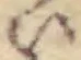 位置 確認된 い