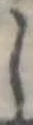 𛁅 위치 확인됨