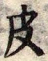 位置定マレル皮