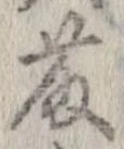 藤の位置