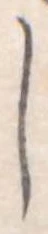 𛁅 위치 확인됨