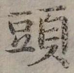 頭 위치 확인됨
