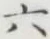 글자 六