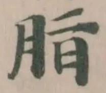 Đã định vị 脂