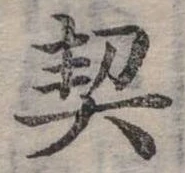 已定位契