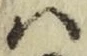 字は