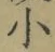 文字 小