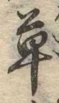 草 위치 확인됨