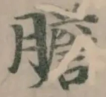 膽の位置